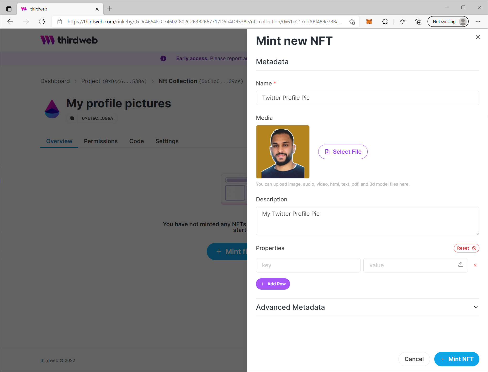 The NFT settings to mint an NFT